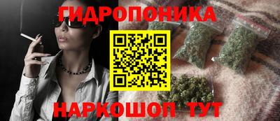 сатива Краснознаменск